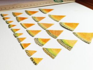 Сушеные плоские ломтики дыни для заливки смолой купить, вид с боку