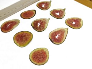 Сушеные плоские ломтики инжира для заливки смолой купить, вид с боку
