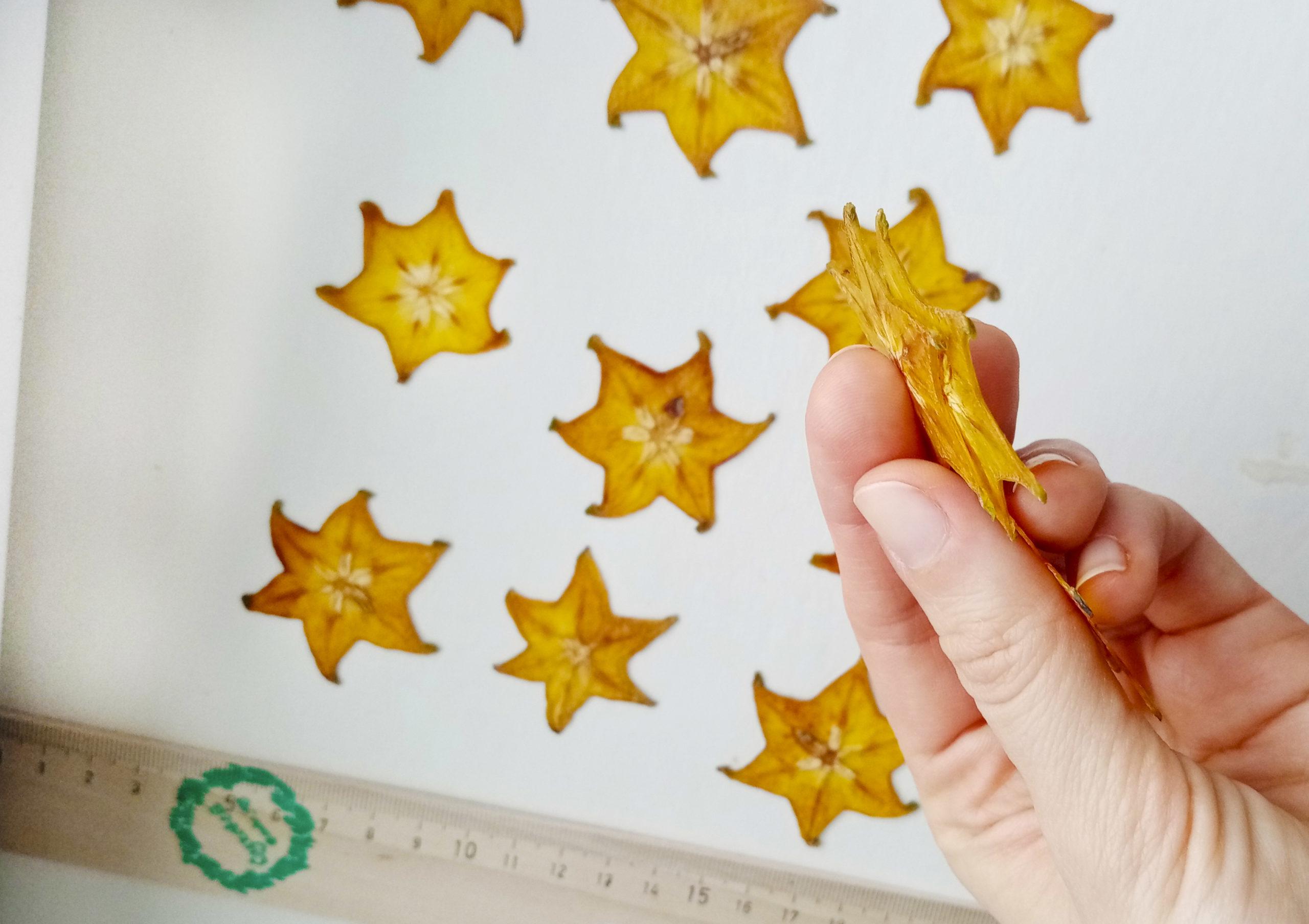 Сушеные плоские ломтики карамболы для заливки смолой купить