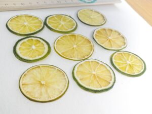 Сушеные плоские ломтики лайма для заливки смолой купить, вид с боку