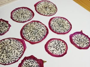 Сушеные плоские ломтики драгон-фрукта (питахайи) для заливки смолой купить, вид с боку