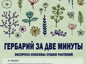 Гербарий за две минуты. Экспресс-способы сушки растений