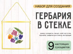 Наборы